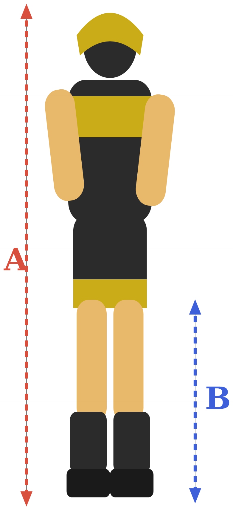 A height and B inseam